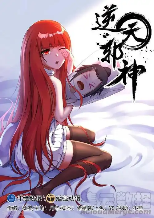 专业版